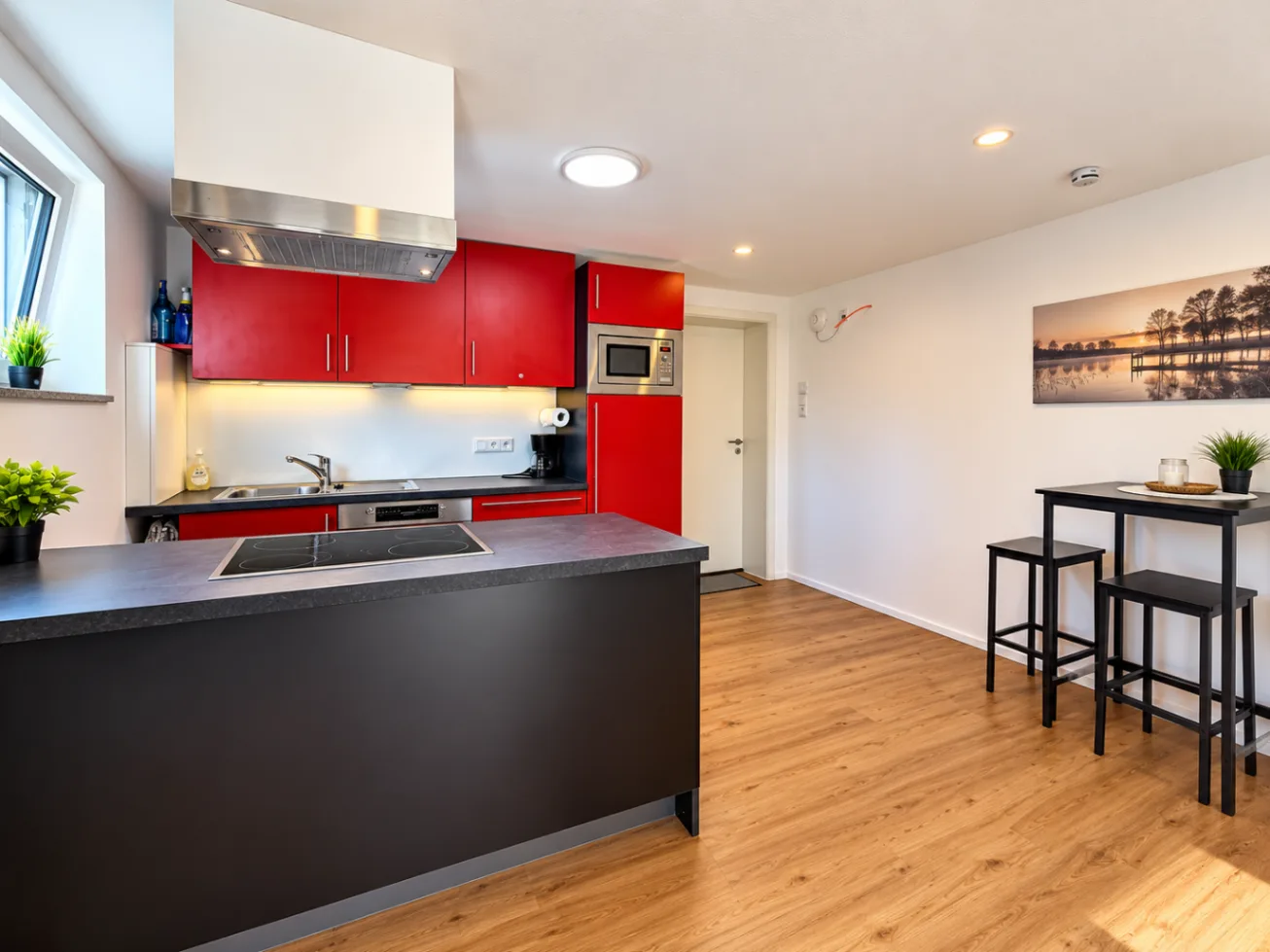 TOP Monteur-Apartment Mengen | 1–2 Pers. | Voll möbliert | WLAN 600 Mbit, Bild 1